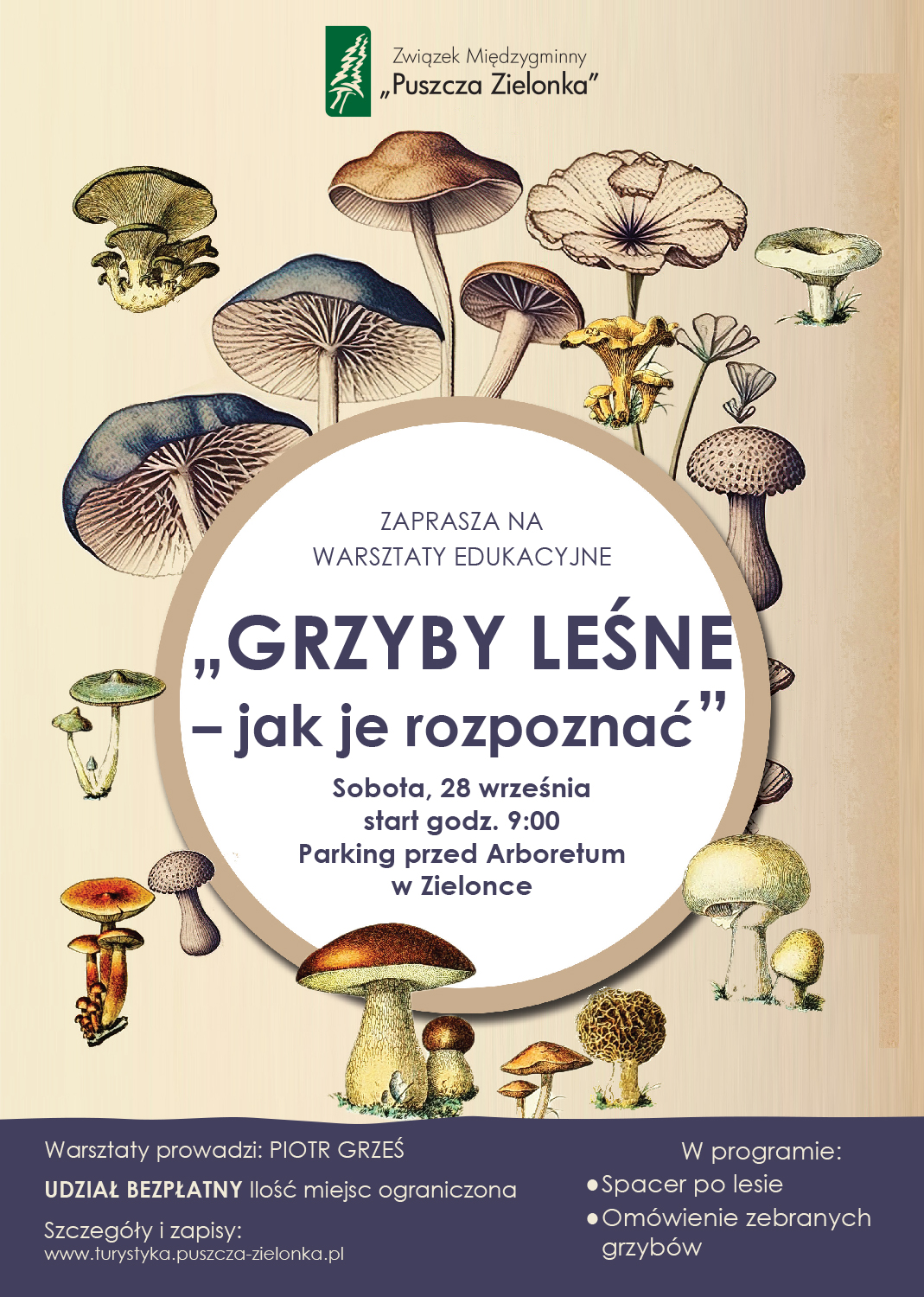 Grzyby lesne - jak je rozpoznać, warsztaty, obowiązują zapisy, https://turystyka.puszcza-zielonka.pl/  zapisy od 13 września